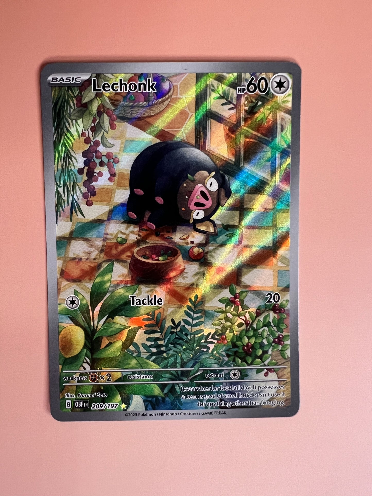 Lechonk • Illustration Rare • 209/197
