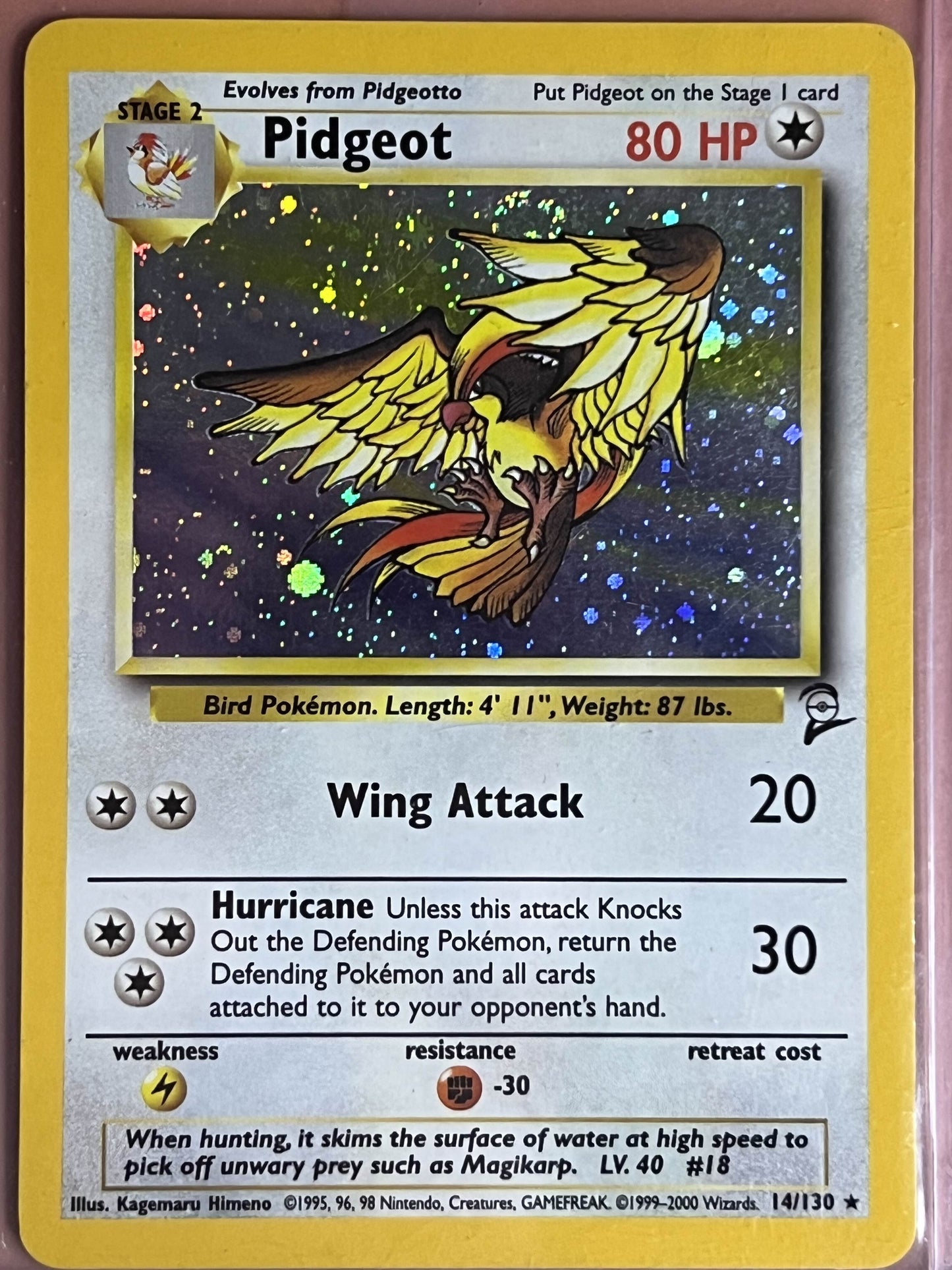 Pidgeot • Holo Rare • 14 Base Set 2